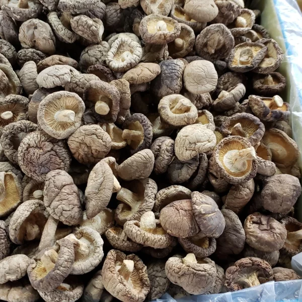 Dehydrated Shiitake Mushrooms