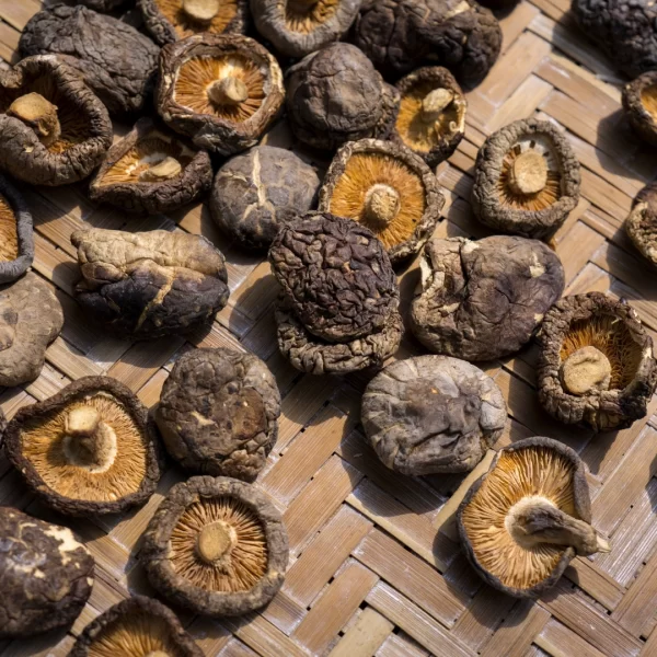 Dehydrated Shiitake Mushrooms3