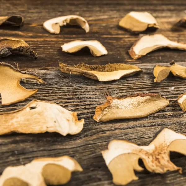 Dried Button Mushrooms