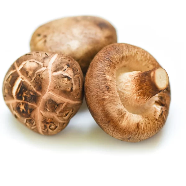 Shiitake Mushroom