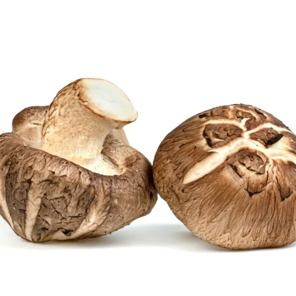 Shiitake Mushroom